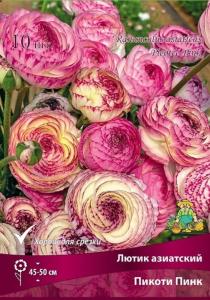 Лютик Пикоти Пинк 10шт (45-50см, цветки лососёво-розовой и красно-оранжевой, 7-8)