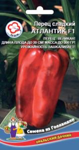Перец Атлантик F1 перец-великан!! ранн (УД) ЧСС Длина до 20см.толщина 8-10 мм.