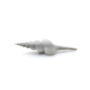 Декорация пластиковая Prime Ракушка спиральная большая 11.5х2.5х2.5см