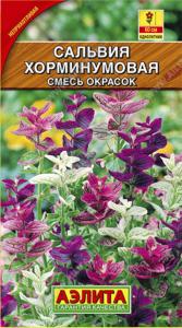 Сальвия Хорминумовая, смесь окрасок Аэлита