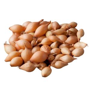 Лук-севок Сеттон (желтый) 10-21 20кг Ср