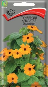 Тунбергия крылатая Оранжевая 0,3гр Одн 200см (Поиск)