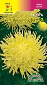 Астра Глория Золотая хризантемовидная 0,2г Одн 80см (Цвет сад)