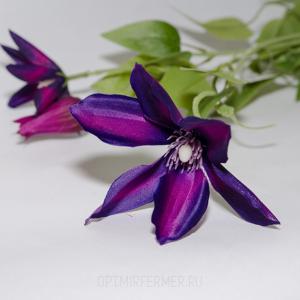 цветок иск.клематис