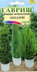 Кипарис Аполлон вечнозеленый 0,1г (Гавриш)
