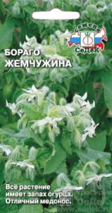Огуречная трава-Бораго Жемчужина 1гр. Седек