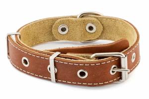 Ошейник кожаный 25мм Друг язычок,2-х слойный 30-45см простроченный 1-1