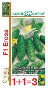 Огурец Егоза 1+1 20шт. F1 Н13 Гавриш Огурец Егоза 1+1 20шт. F1 Н13 Гавриш