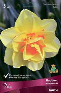 Нарцисс Махровый Таити 5шт ( желтый с ярко-красным центром, 12/14, h40см)