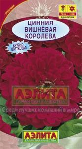 Цинния Вишневая Королева (Аэлита)