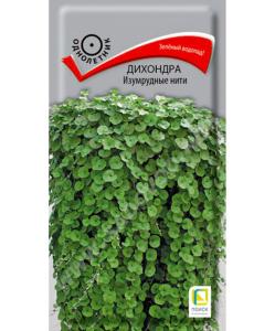 Дихондра Изумрудные нити 5шт (Поиск)