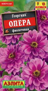 Георгина Опера фиолетовая 7 шт (Аэлита)