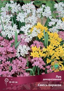 Лук декоративный смесь (фиолетовый, белый, бордовый, 10шт, 5-6) Лук декоративный смесь (фиолетовый, белый, бордовый, 10шт, 5-6)
