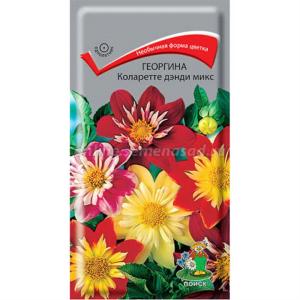Георгина Коларетте дэнди микс 0,2г 50см (Поиск)