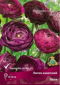 Лютик азиатский Пепл 10шт (45-50 см, цветки полумахровые оранжевые, 7-8) Лютик азиатский Пепл 10шт (45-50 см, цветки полумахровые оранжевые, 7-8)
