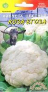 Капуста цветная Коза Егоза (Цвет сад)