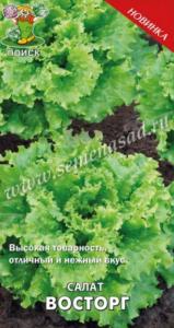 Салат Восторг 1г Поиск Салат Восторг 1г Поиск