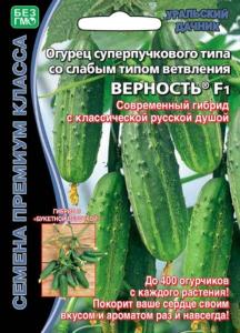 Огурец Верность F1 (УД) ЧСС -до 400 огурч.!суперпучков.,корнишон.,8-10см.-