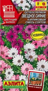 Остеоспермум Звездное сияние карликовый 10шт смесь Одн 25см (Аэлита)