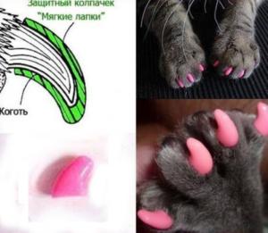 Коготки колпачки защит. малиновые (20шт-уп) 0206-78361