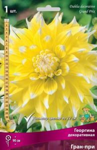 Георгина декоративная Гран-при (ярко-жёлтый, белые кончики лепестков, диаметр цветка 22 см, 1шт, I)