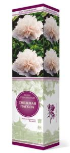 Пион древовидный Снежная Пагода 1шт (цветы белые)