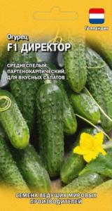 Огурец Директор F1 5шт Парт Ср (Гавриш)