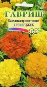 Бархатцы пр.Крекерджек 0,3г -70см- (тагетес) Гавриш