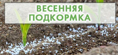 Весенняя подкормка - залог здорового роста растений в течение всего сезона