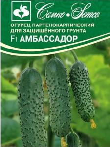 Огурец Амбассадор F1 5шт Парт Ранн (Семко) Огурец Амбассадор F1 5шт Парт Ранн (Семко)