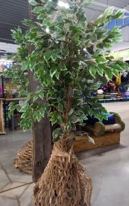 106