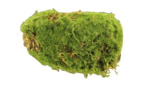 Замшелый камень ЕА2086