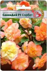 Бегония клубневая Санни Дей F1 Сорбет 5шт (Биотехника)