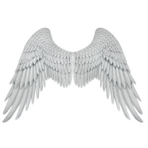Карнавальные крылья Любовь 103х66см белые 