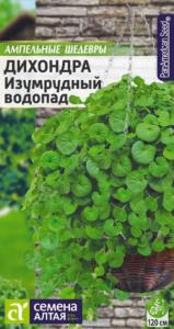 Дихондра Изумрудный водопад 3шт.- Сем Алт