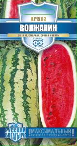 Арбуз Волжанин 1г (Гавриш) Русский богатырь