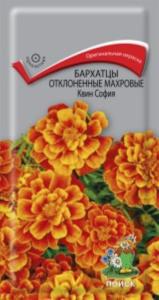Бархатцы откл. Квин София махровые 0,4г 30см (Поиск)
