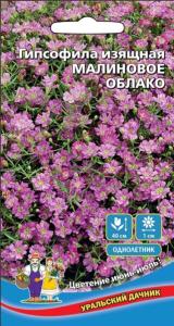 Гипсофила Малиновое облако изящная 0,1г (УД) Гипсофила Малиновое облако изящная 0,1г (УД)