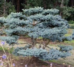 Скриншот 22-04-2026 094713