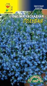 Лобелия Голубая каскад. Цвет.сад
