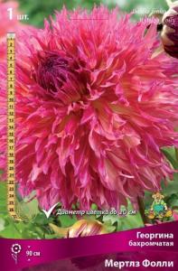 Георгина бахромчатая Мертлз Фолли (нежно-розовый с жёлтым, 1шт, I)