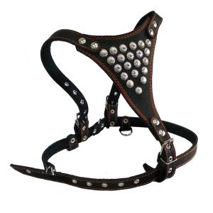 Шлея кожаная, подшитая спилком или тканью, с украшениями, 25 мм (ездовая)-ШлК-25-К-У