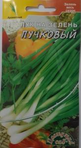 Лук на зелень Пучковый 0,5г Ранн (Цвет сад)