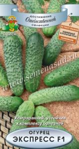 Огурец Экспресс F1(А) (ЦВх) 12шт.Поиск Огурец Экспресс F1(А) (ЦВх) 12шт.Поиск