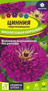 Цинния Фиолетовая королева георгиновидная 0,3г Одн 90см (Сем.Алт)