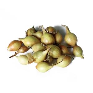 Лук-севок Радар (желт.озимый) 20кг Лук-севок Радар (желт.озимый) 20кг