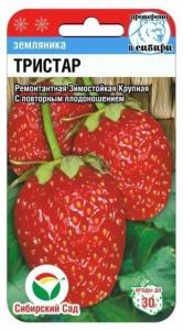 Земляника (Клубника) Тристар (Сиб. сад.)