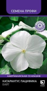 Катарантус Пацифика Вайт 10шт (Поиск)