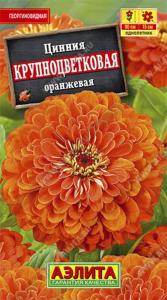 Цинния Крупноцветковая Оранжевая Аэлита