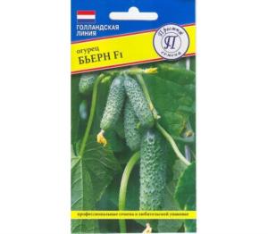 Огурец Бьерн F1 5 шт (Престиж) Огурец Бьерн F1 5 шт (Престиж)